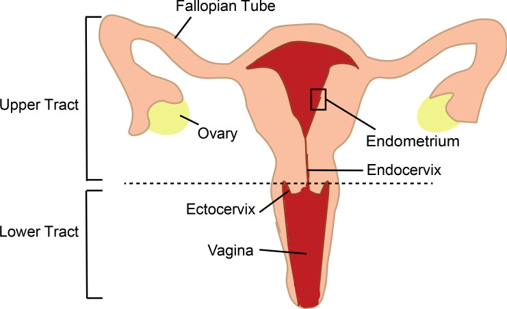 Figure 1.