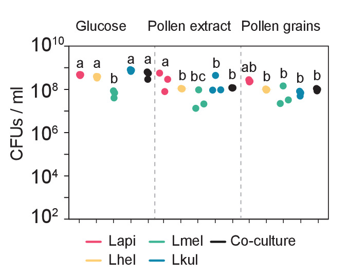 Figure 2—figure supplement 1.