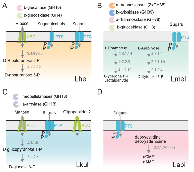 Figure 4.