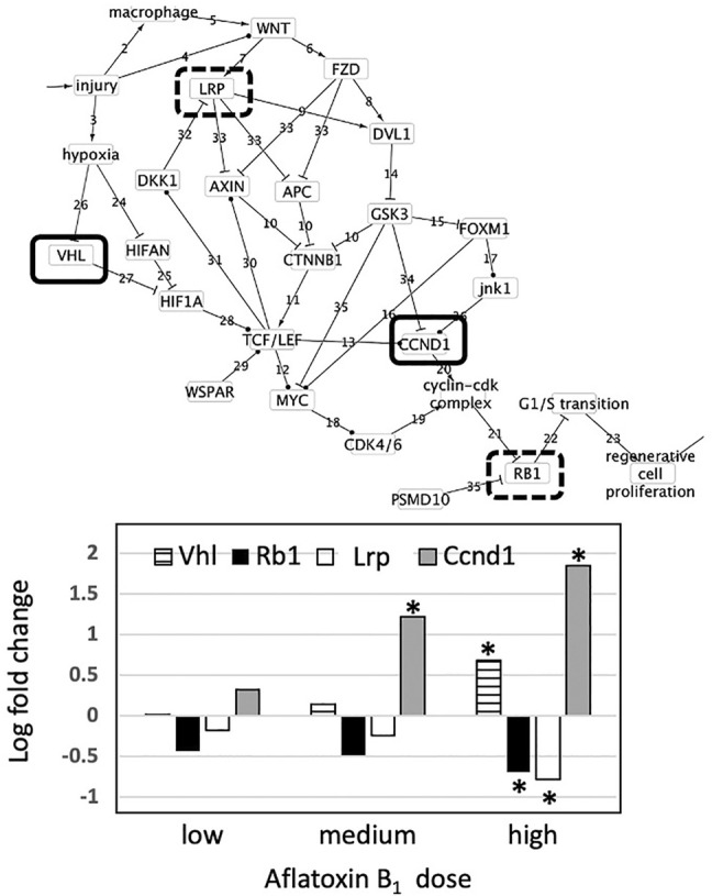 FIGURE 3