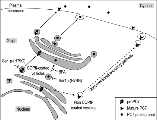 FIGURE 9.