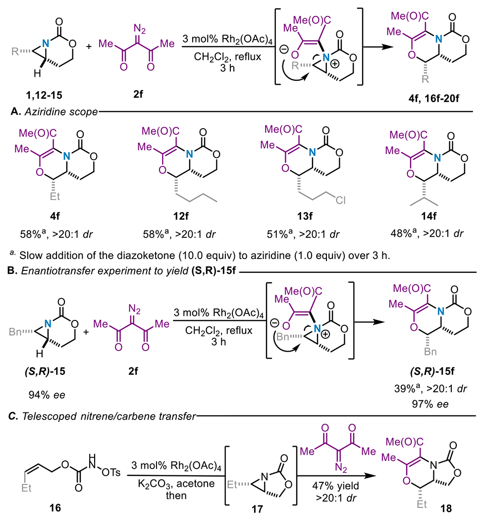 Scheme 5.