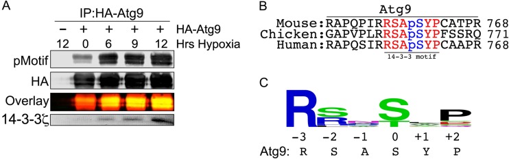 FIG 3