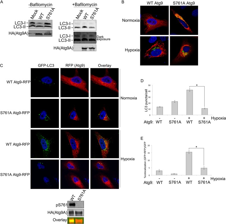 FIG 6