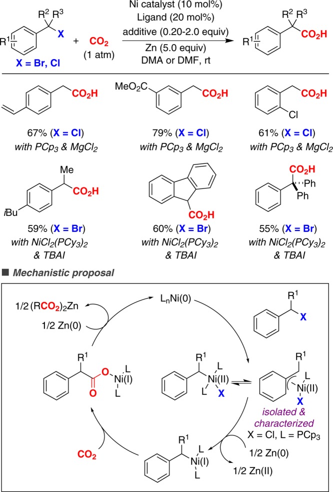 Scheme 5