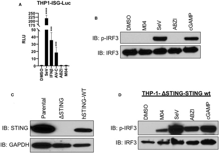 Figure 6