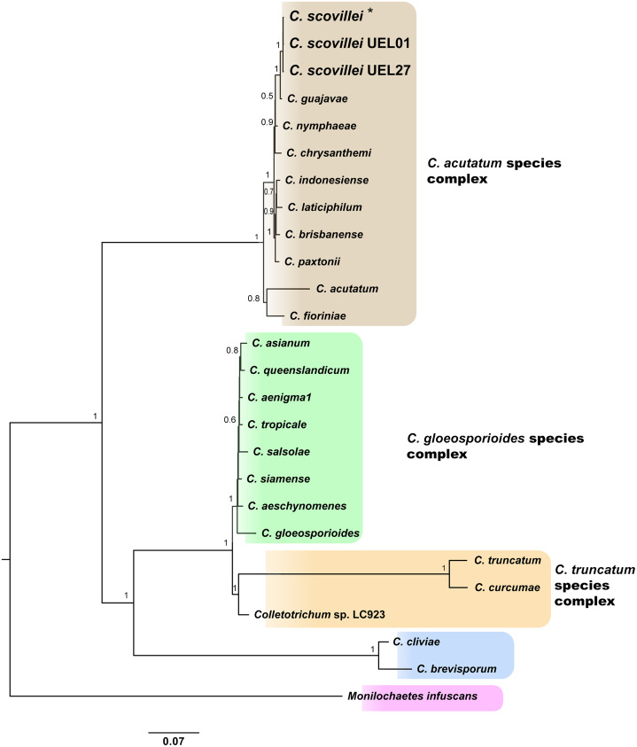 Figure 2