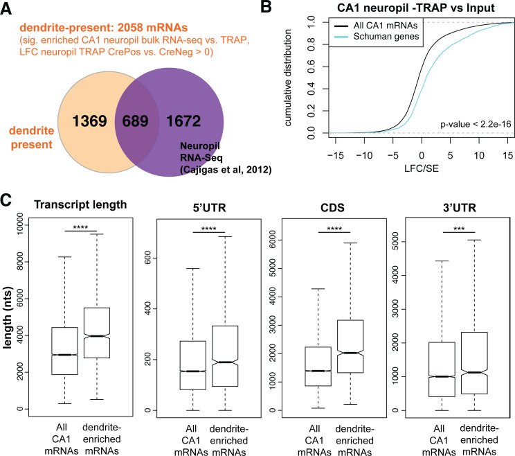 Figure 1—figure supplement 2.