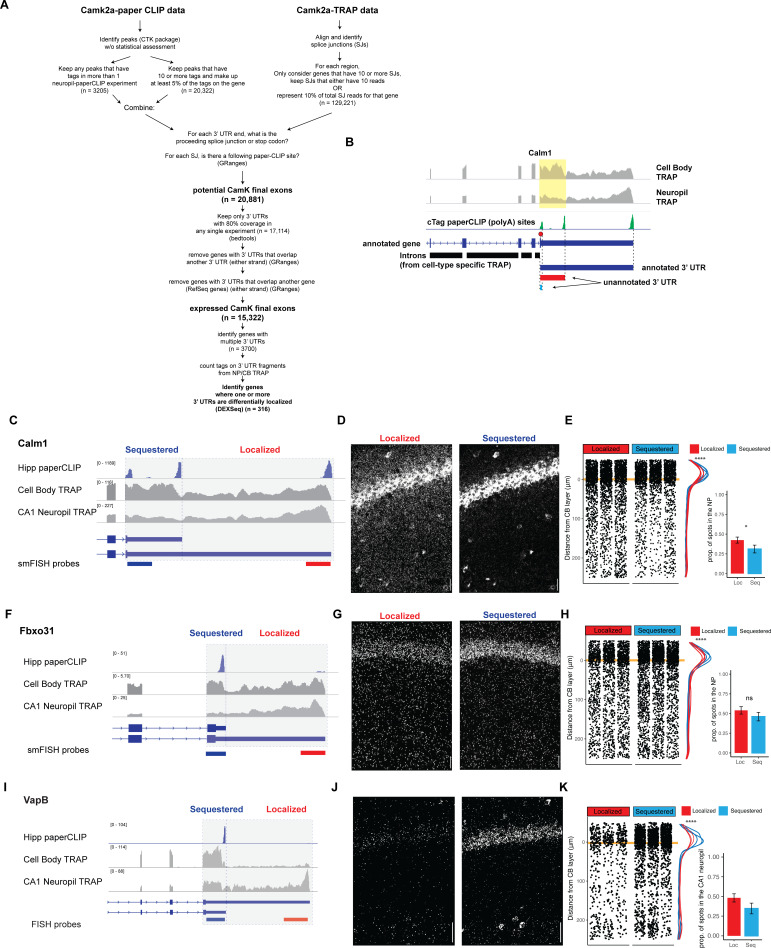 Figure 2—figure supplement 2.