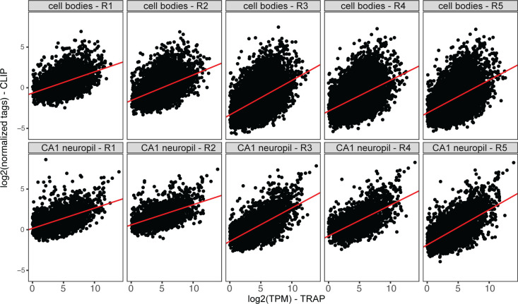 Figure 6—figure supplement 2.