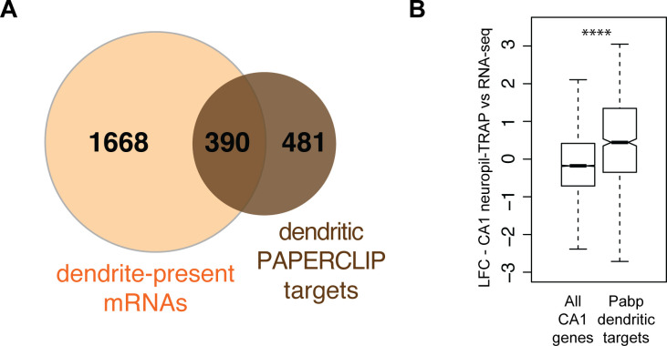 Figure 2—figure supplement 1.