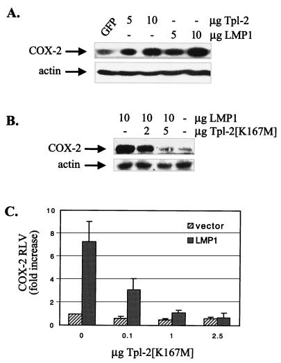 FIG. 8.