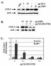 FIG. 8.