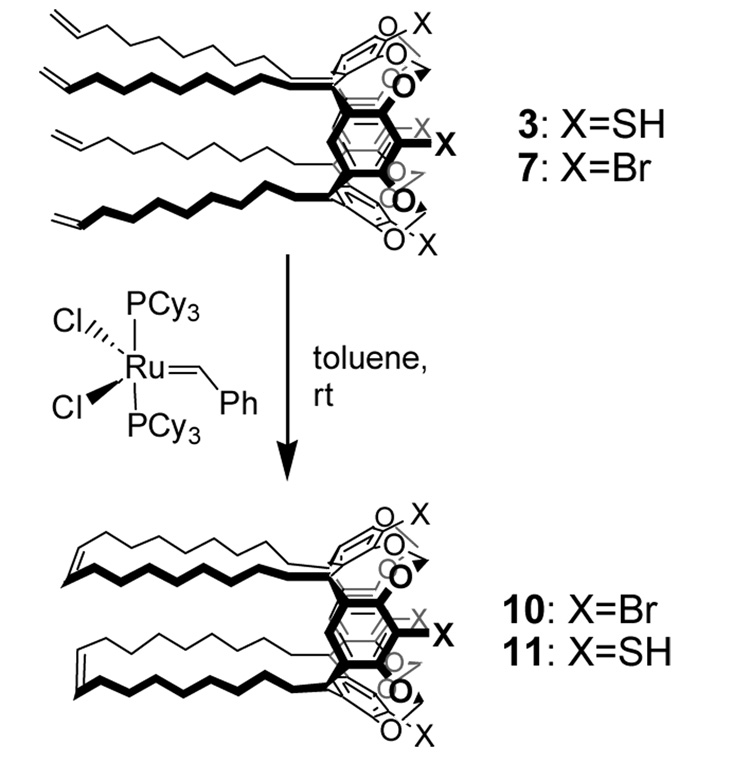 Scheme 2