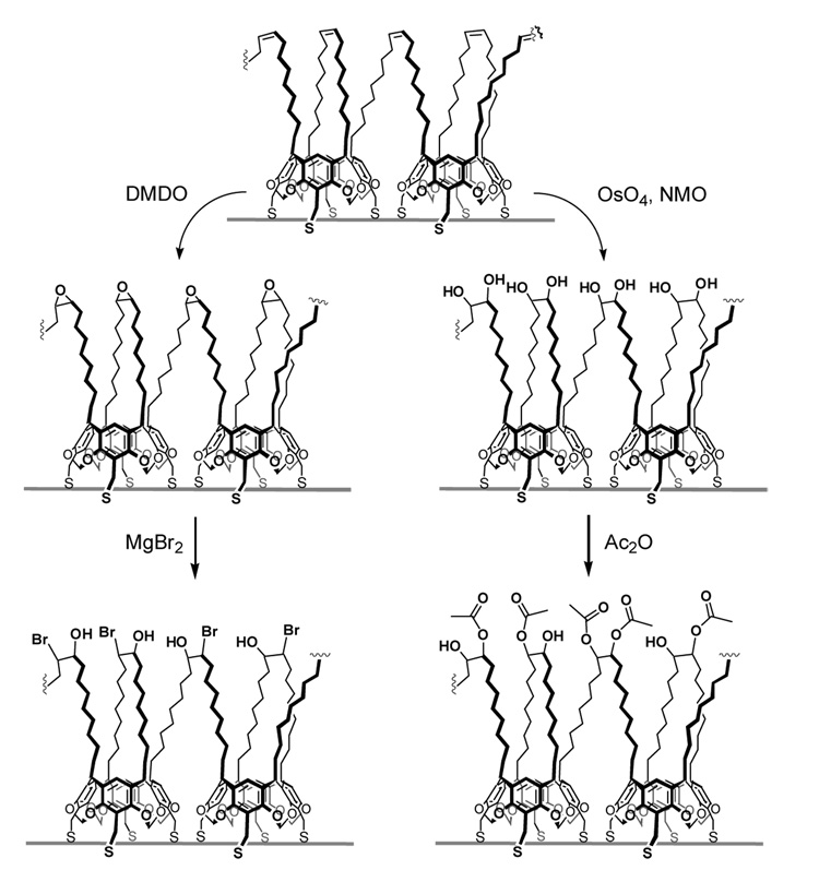 Scheme 3