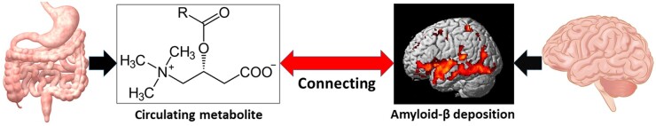 Graphical Abstract