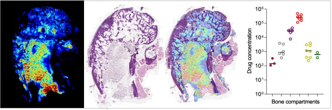 graphic file with name 216_2022_4257_Figa_HTML.jpg