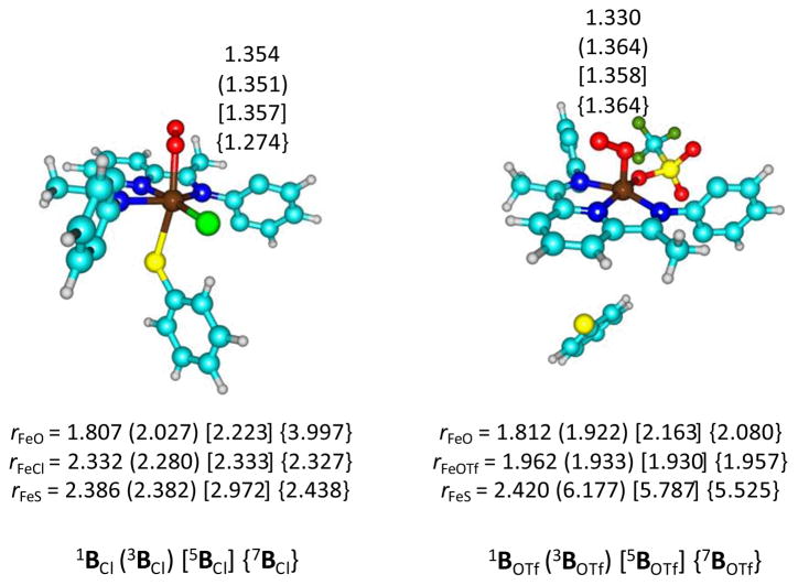 Fig 5