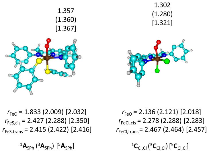 Fig 7