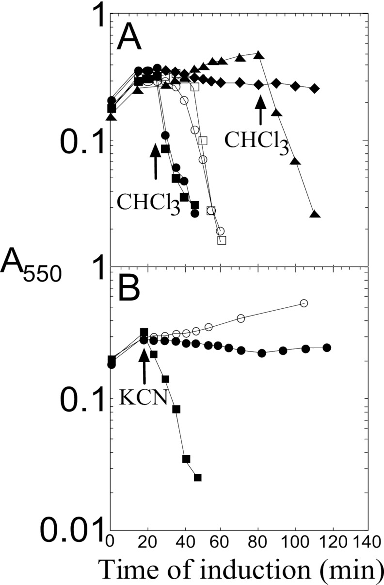 Fig 5