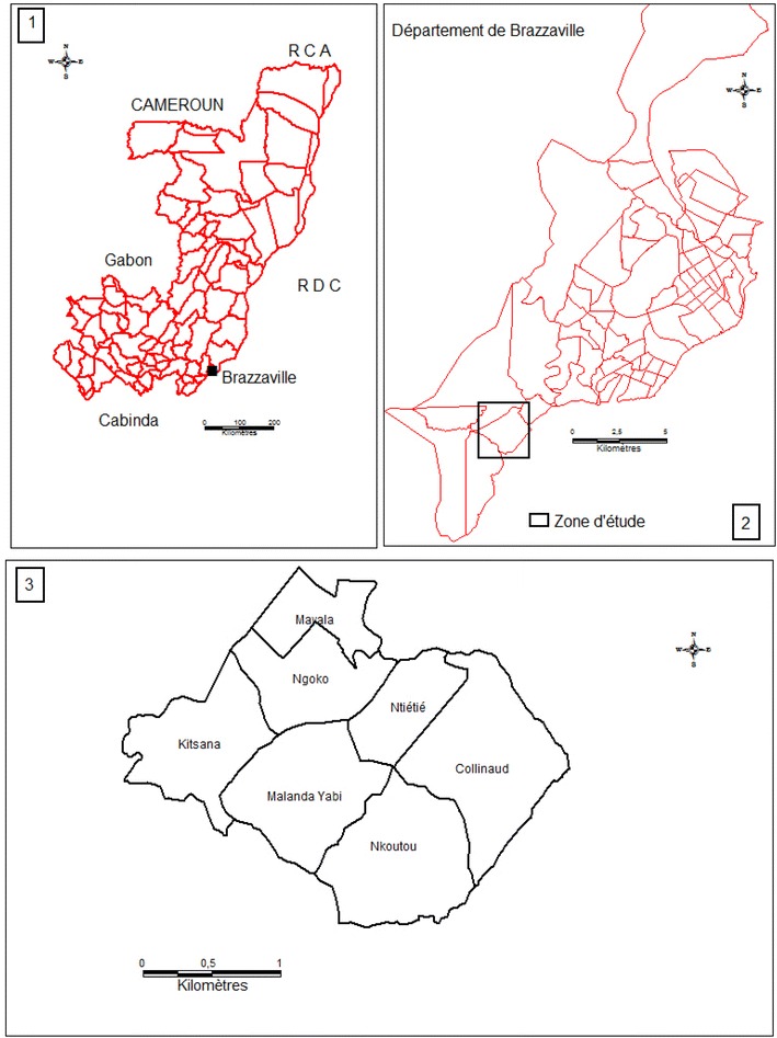 Fig. 1