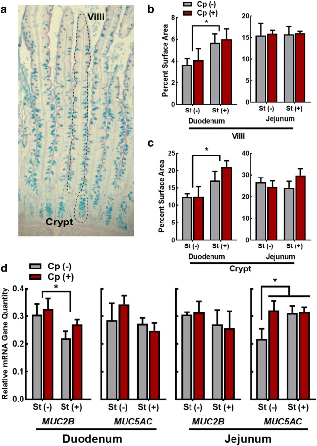 Fig. 2
