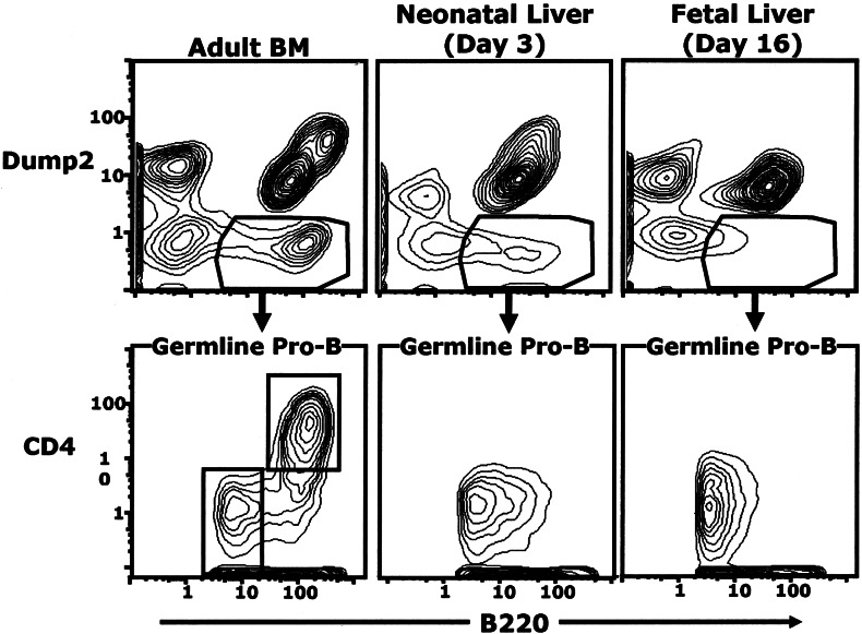 Figure 9