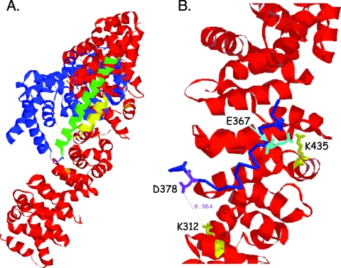 FIG. 7.