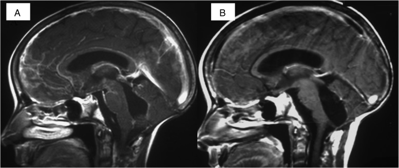 Fig. 2.