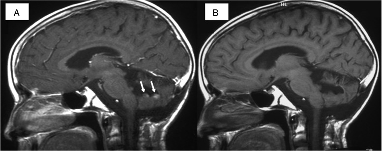 Fig. 1.