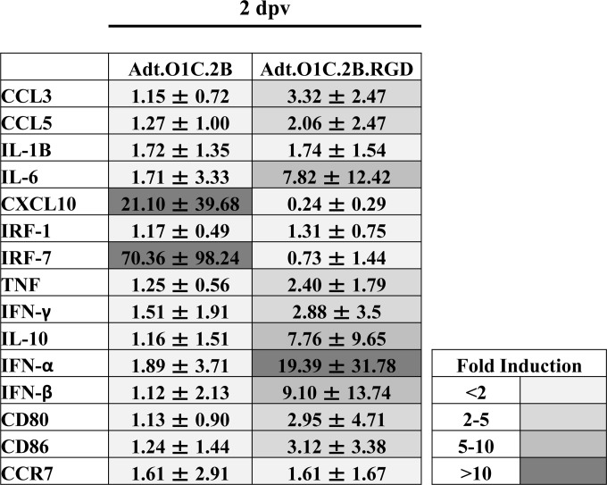 FIG 3