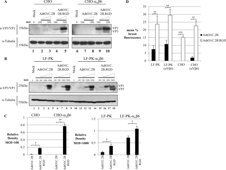 FIG 1