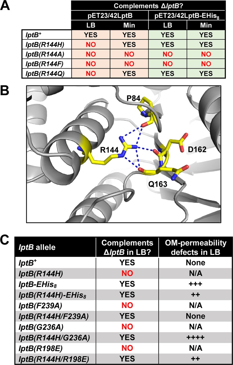 FIG 4