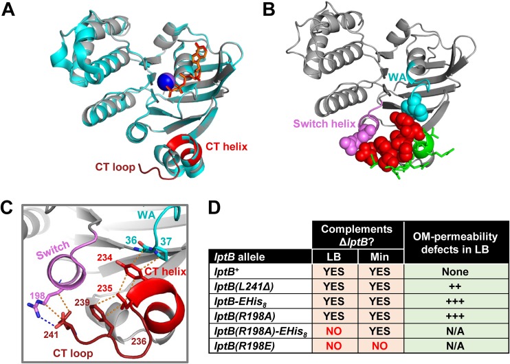 FIG 2