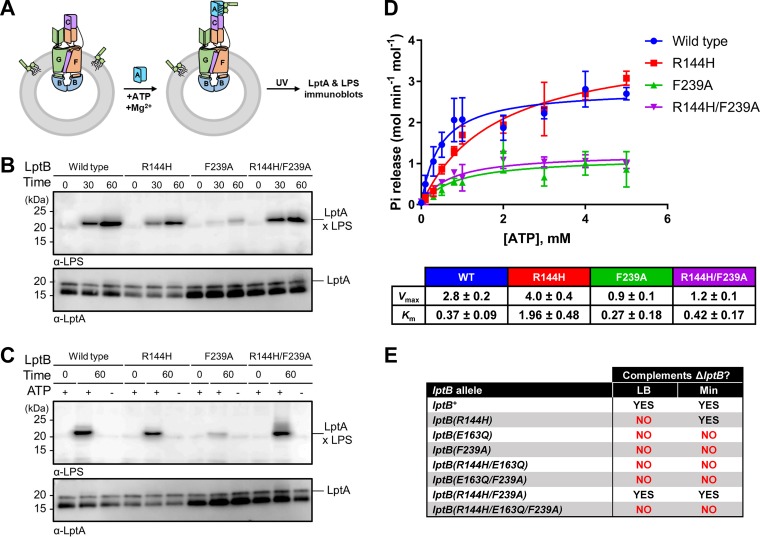 FIG 6