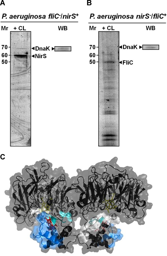 FIG 5