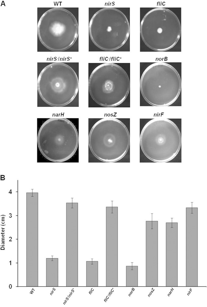 FIG 2