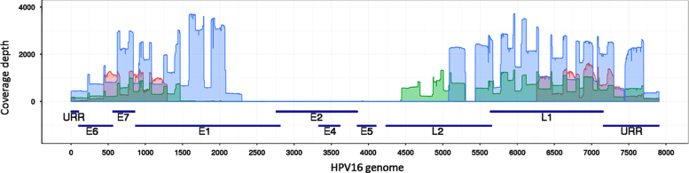 Fig. 3