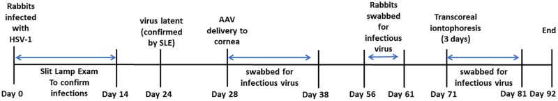 FIG 2