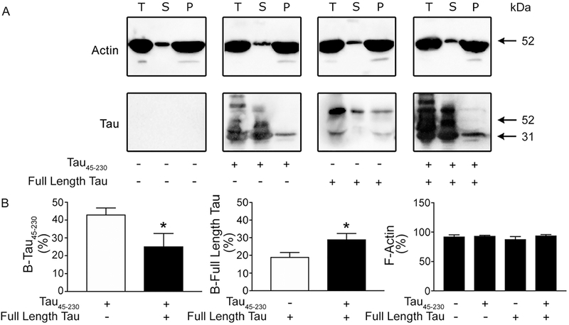 Figure 6: