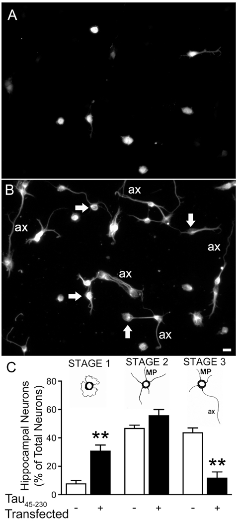 Figure 7: