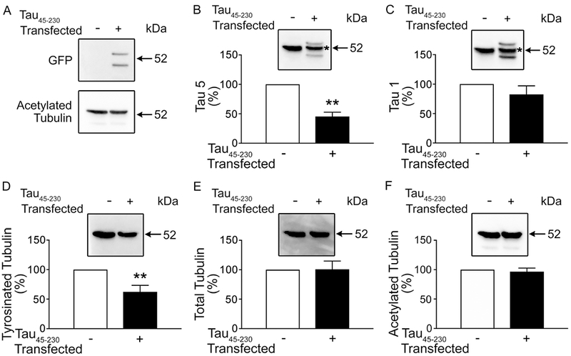 Figure 4: