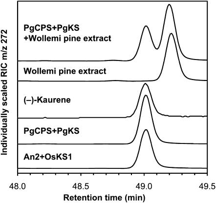 Figure 7.