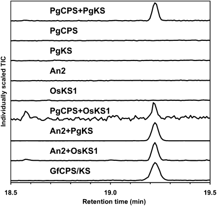 Figure 5.