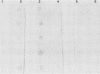 1871