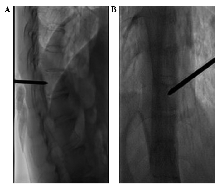 Figure 2.