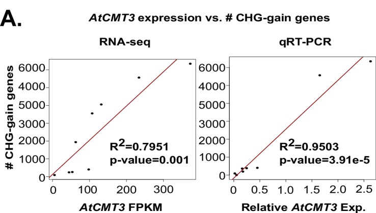 Figure 2—figure supplement 2.