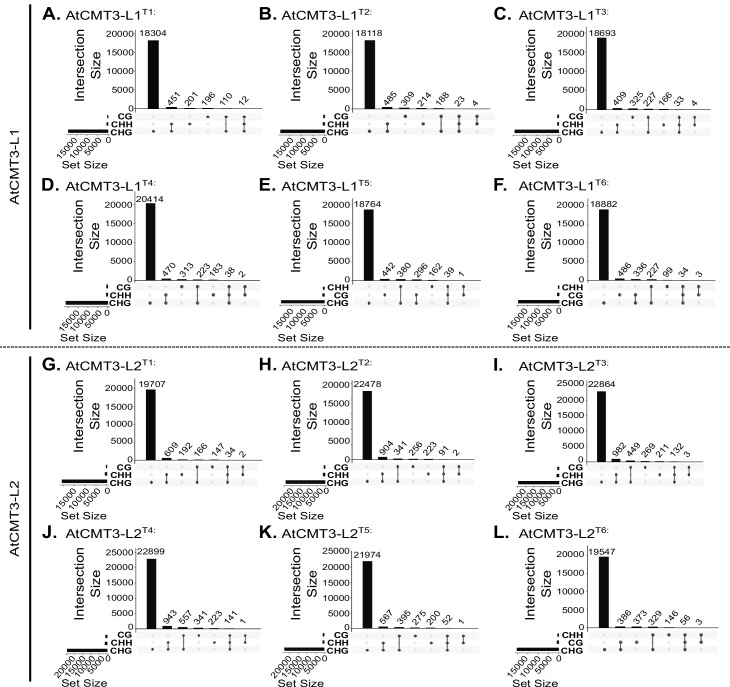 Figure 1—figure supplement 3.