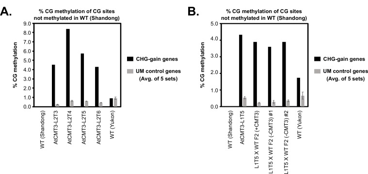 Figure 5—figure supplement 2.