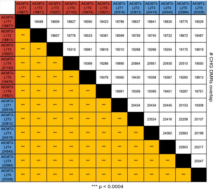 Figure 1—figure supplement 4.